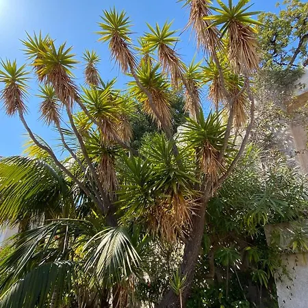 L'ensoleillée Vue Panoramique Mer, 250 M De La Et Du Centre Appartement Menton