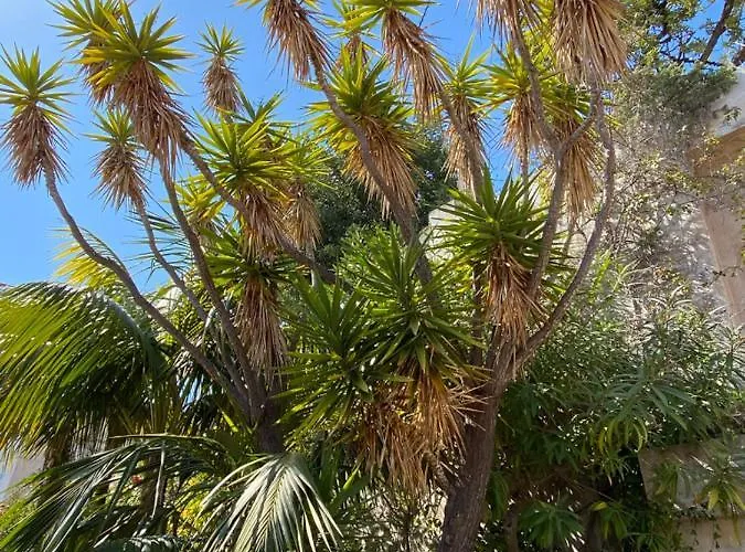 L'ensoleillee Vue Panoramique Mer, 250 M De La Et Du Centre Lägenhet Menton